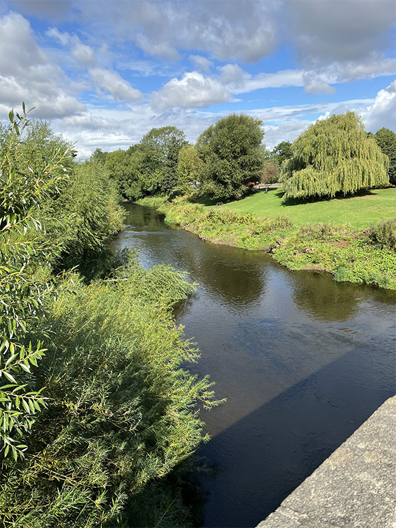 view from south of the bridge